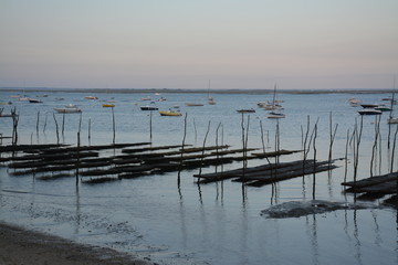 Lège-Cap-Ferret - Parc ostréicole