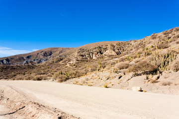 Bolivian dirt road view,Bolivia
