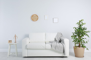 Stylish living room interior with sofa and houseplant near white wall
