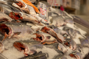 Fresh Pacific Salmon