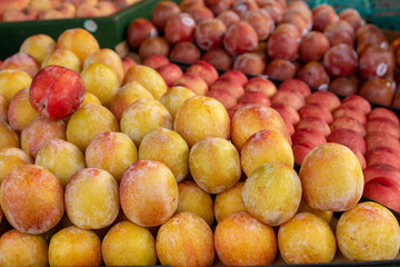 Fresh Organic Plums 