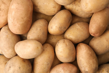 Fresh ripe organic potatoes as background, top view