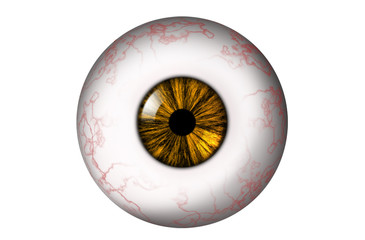 Human eyeball with red veins and yellow iris on a white background. Bitmap illustration