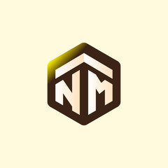 NM Initial letter hexagonal logo vector