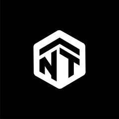 NT Initial letter hexagonal logo vector