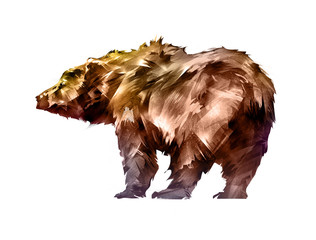 painted colored bear animal on a white background