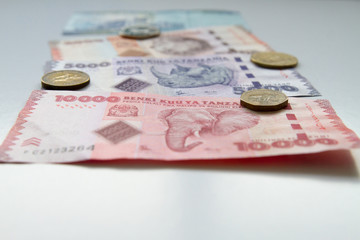 Tanzanian Shilings with wildlife species on one side, considered some of the most beautiful banknotes in the world  © anca enache