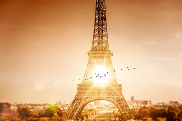 Fotobehang Vogels vliegen door de Eiffeltoren voor de zon © XtravaganT