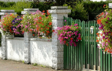 ville de Francheville, mur blanc et portail vert en bois chargés de fleurs, département de l'Eure, Normandie, France