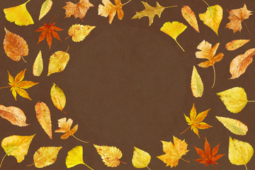 Fototapeta na wymiar Watercolor illustration with autumn leaves 4