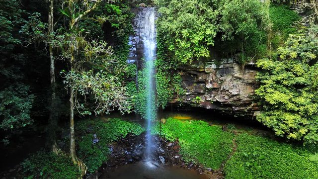Establishing shot of Crystall Shower Falls in Dorrigo, New South Wales, Australia.