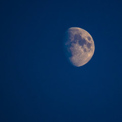 Blue Moon