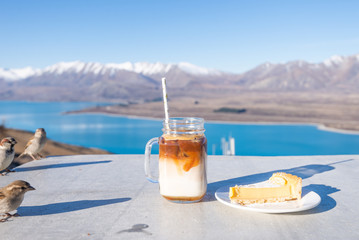 Birds are waiting for eating the  dessert, over the lake in New Zealand.