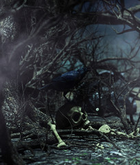 Naklejka premium Lost till you death 2,a crow on human skull under the tree on scary gloomy night,3d illustration for book illustration or book cover