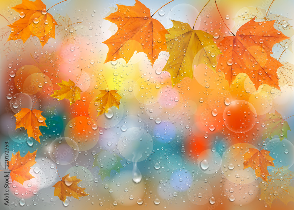 Poster Autumn colorful background with  leaves and raindrops on the window. Vector background. Vector