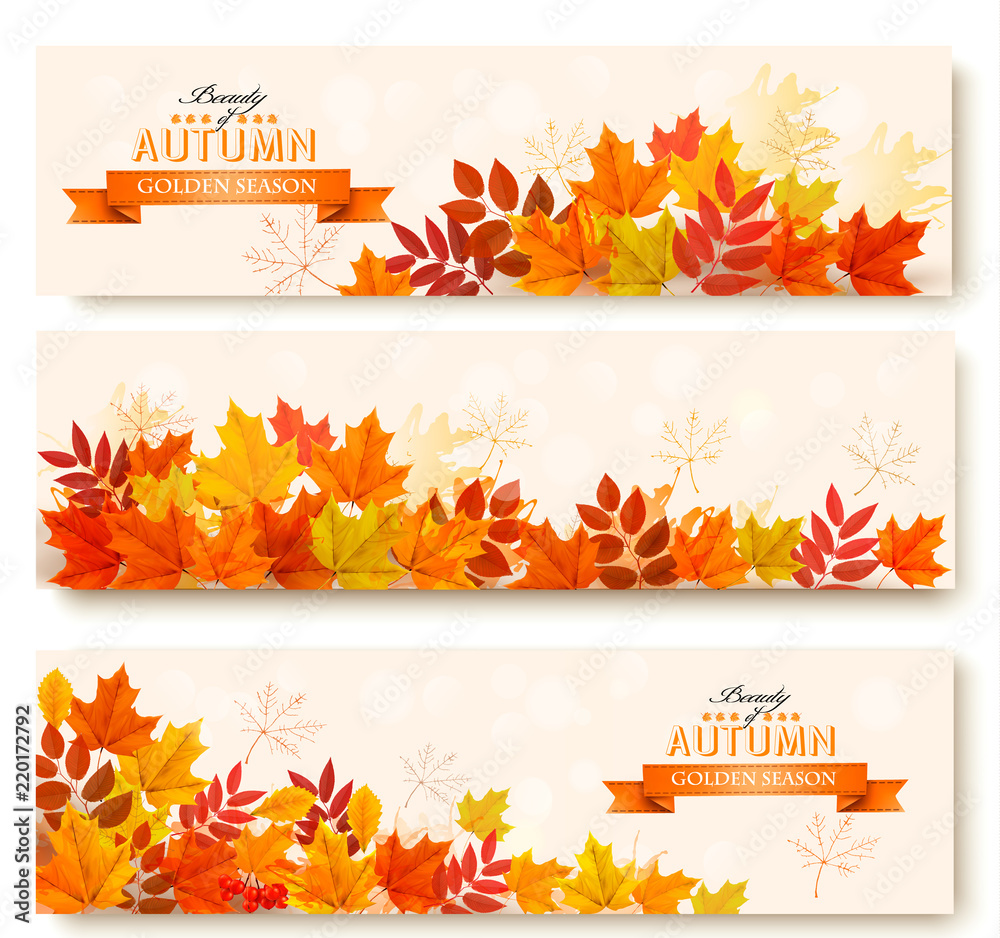 Poster three abstract autumn banners with colorful leaves. vector