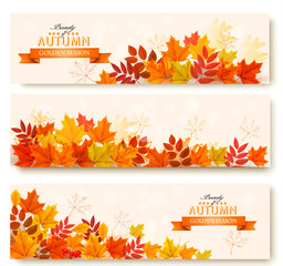Three abstract autumn banners with colorful leaves. Vector