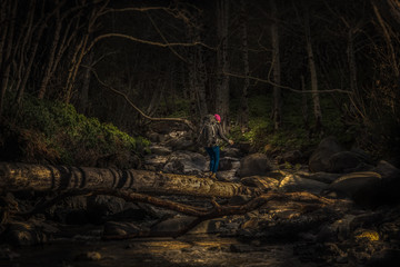Naklejka premium Hiker crossing a downed tree over the river on The Lost Coast trail