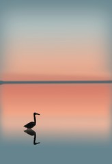 Standng in the Water at Sunset  O805