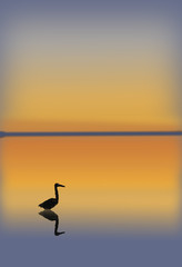 Bird at Sunset   O805