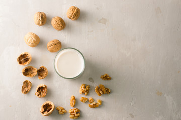 Fototapeta na wymiar Organic walnut nuts and glass of walnut milk on stone background.