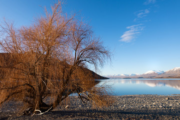 Lake Tekapo ,New Zealand
