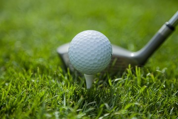 Golf Ball on Tee and Club on Golf Course
