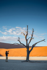 Young male photographer and traveler taking photo of dead tree in deadvlei (Sossusvlei) during sunrise, famous natural landmark in Namib desert of Namibia, Africa