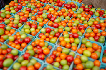 Fresh Organic Cherry Tomatoes