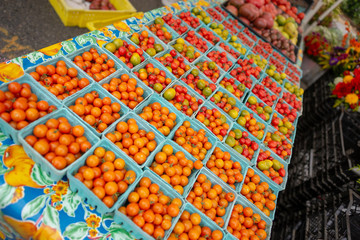 Fresh Organic Cherry Tomatoes