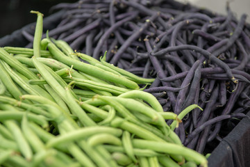 Fresh Organic String Beans