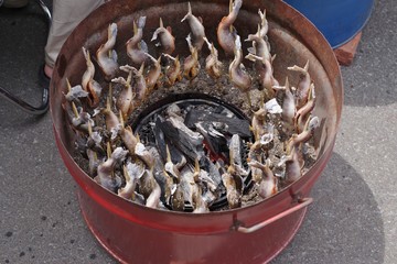 炭焼きの川魚