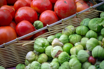 Fresh Organic Tomatoes