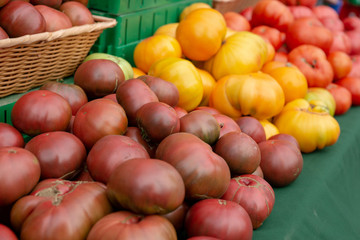 Fresh Organic Tomatoes