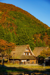 Fototapeta na wymiar Autumn of Gokayama, a UNESCO World Heritage Site in Toyama, Japan. ユネスコ世界遺産五箇山の秋　日本富山県南砺市　菅沼集落