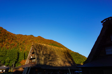 Autumn of Gokayama, a UNESCO World Heritage Site in Toyama, Japan.  ユネスコ世界遺産五箇山の秋　日本富山県南砺市　菅沼集落