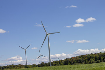 Windmills in a Field on a Summer Day