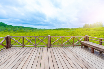Mangroves inTung Prong Thong or Golden Mangrove Field at Estuary Pra Sae, Rayong, Thailand