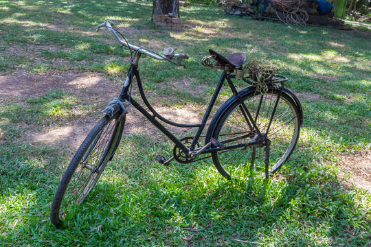 Old vintage bicycle on green grass