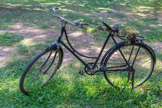 Old vintage bicycle on green grass
