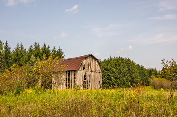 Obraz premium Weathered Barn Basking in the Summer Sun