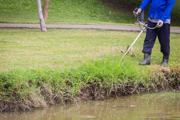 The Workers were cutting grass