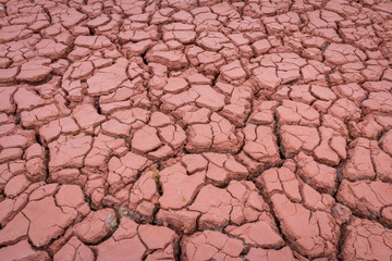 Desert red dry and thirsty soil