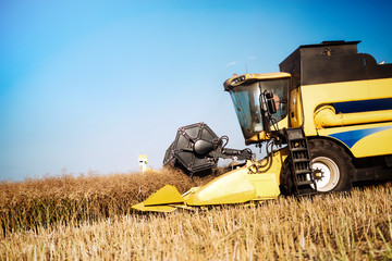 Picture of combine harvester machine harvesting crops