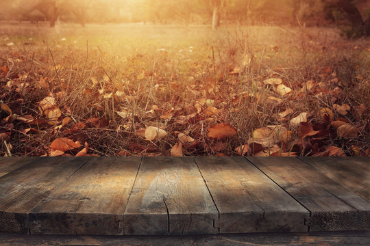 image of front rustic wood boards and background of fall leaves in forest