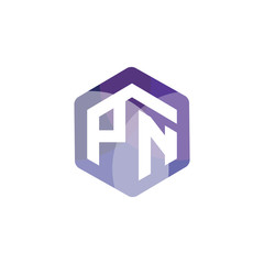P N Initial letter hexagonal logo vector