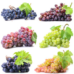 Grapes on a white background