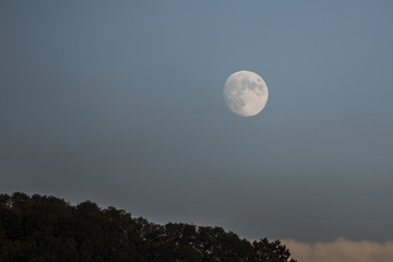Mond