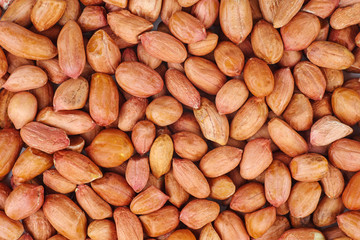 Raw shelled peanuts