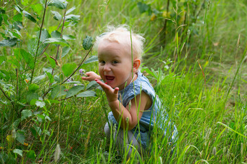 cute toddler girl is picking wild strawberries